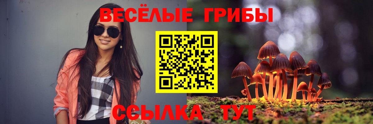 Галлюциногенные грибы Magic Shrooms  Вход с VPN  Нальчик 